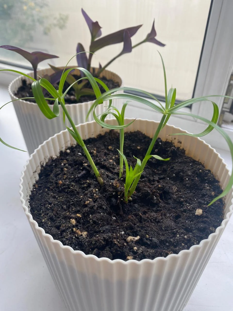 WhatsApp Image 2024-09-12 at 09.38.56 (2).webp