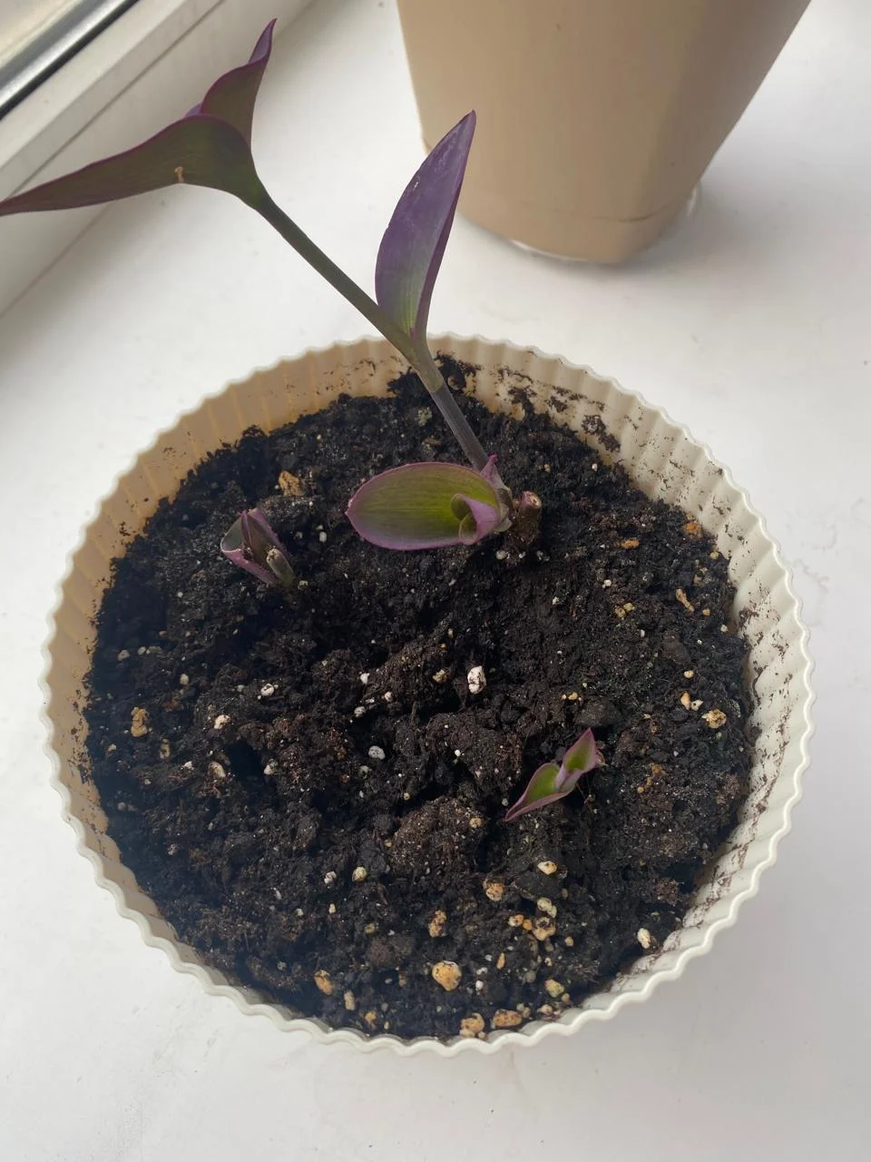 WhatsApp Image 2024-09-12 at 09.38.56.webp