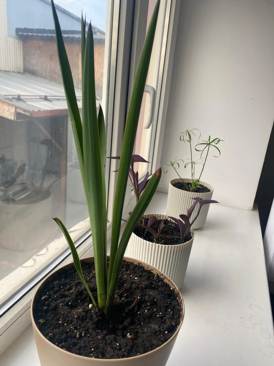 WhatsApp Image 2024-09-19 at 08.25.20 (2).webp