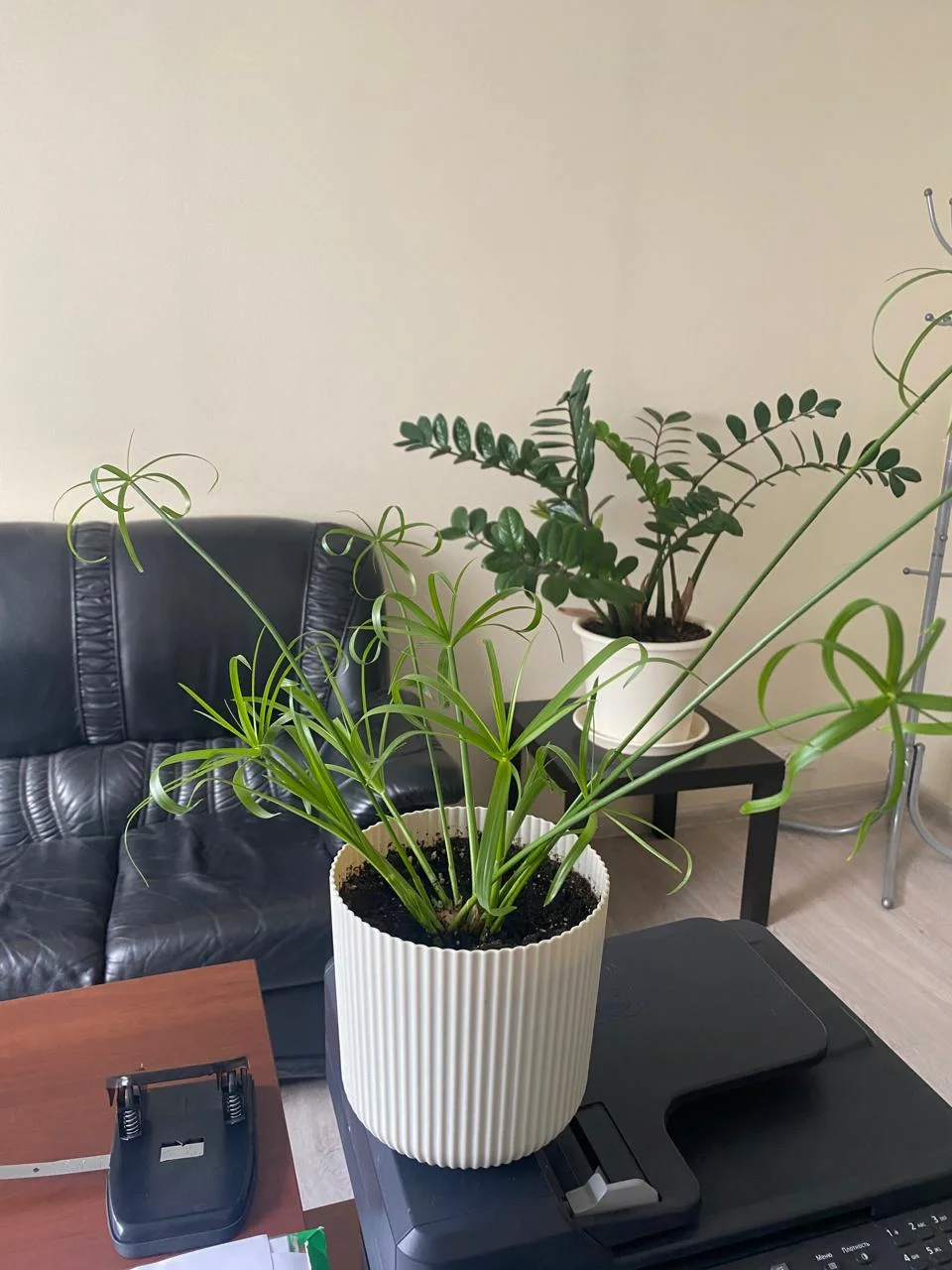 WhatsApp Image 2024-09-19 at 08.25.20.webp