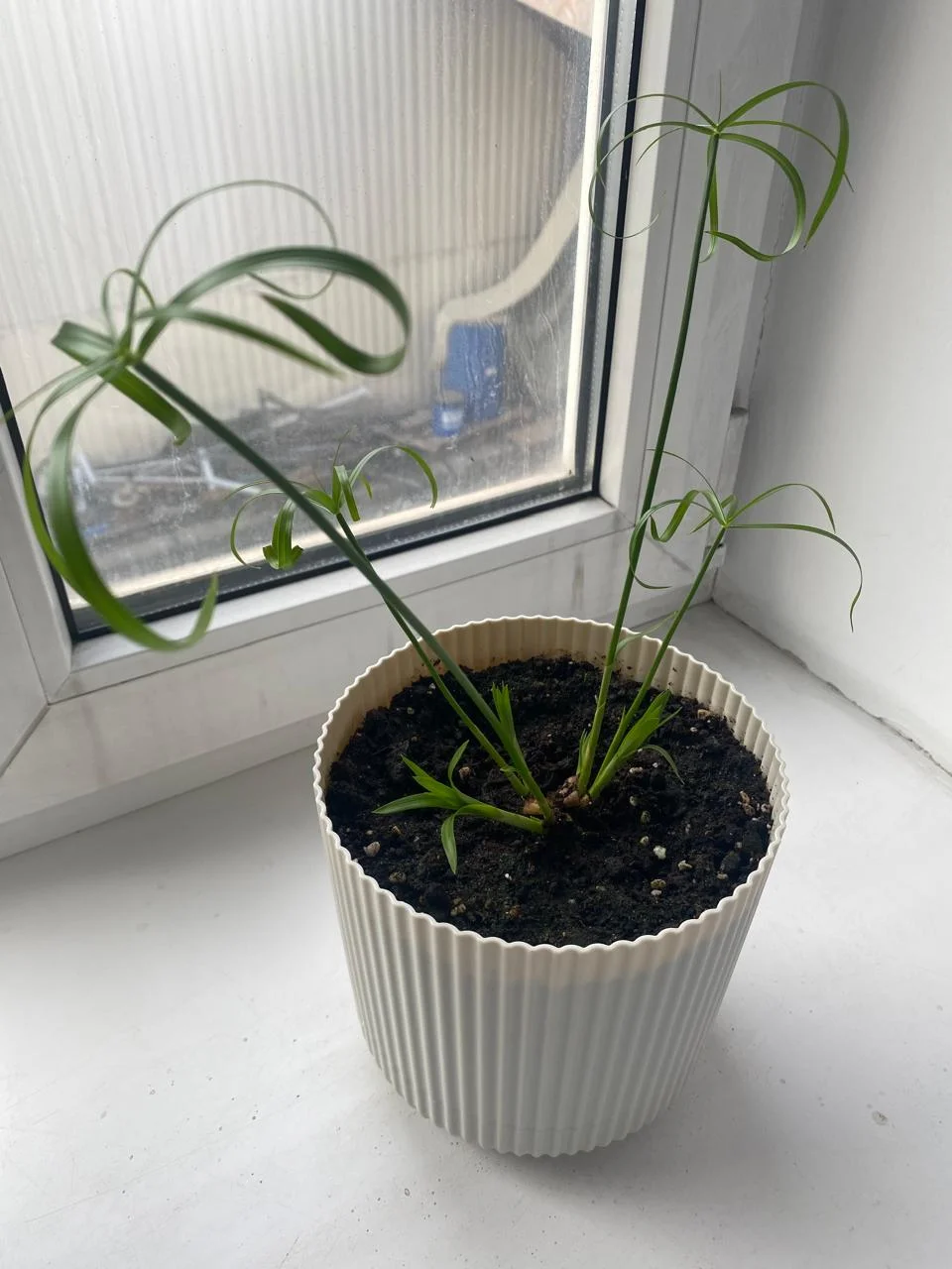 WhatsApp Image 2024-09-19 at 08.25.21 (1).webp