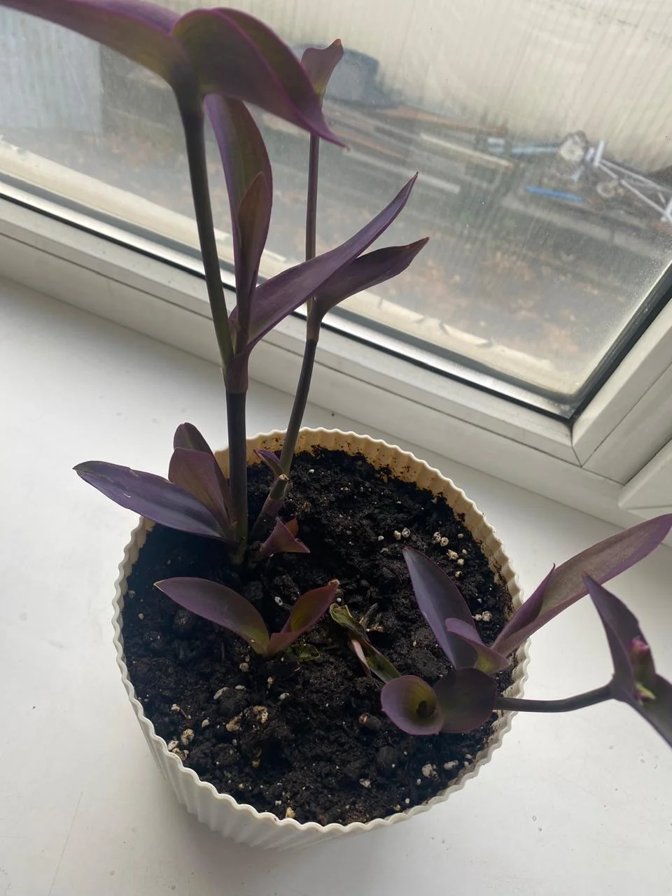 WhatsApp Image 2024-09-19 at 08.25.21.webp