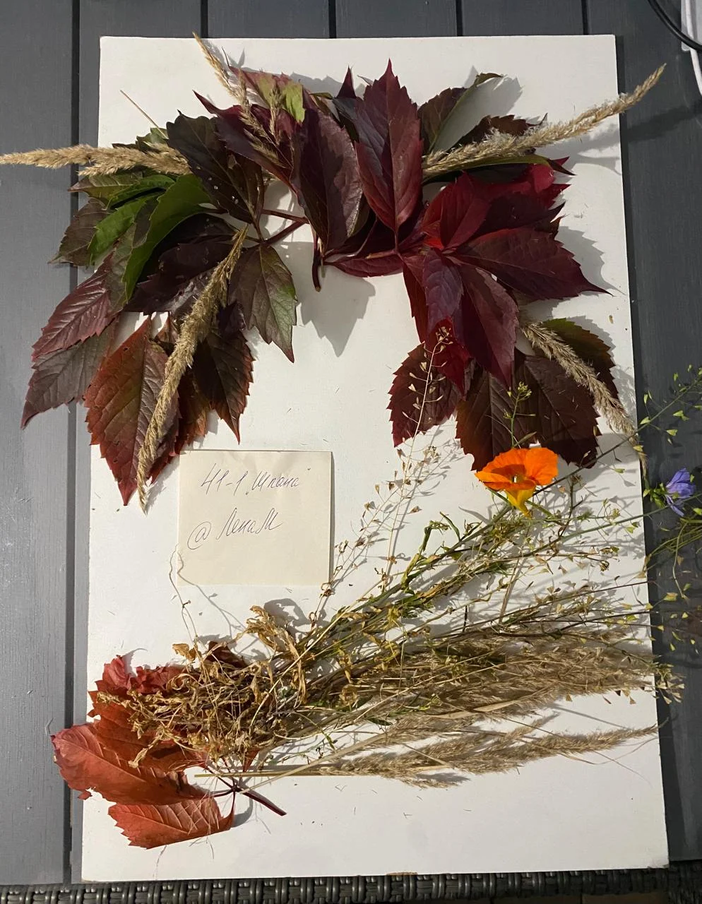 WhatsApp Image 2024-09-20 at 19.42.47 (1).webp