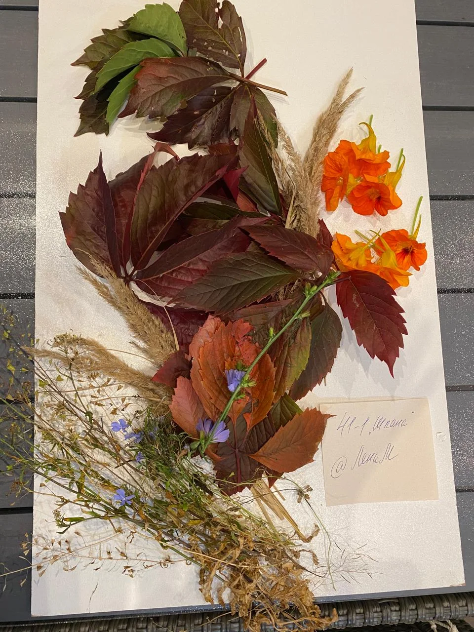 WhatsApp Image 2024-09-20 at 19.42.47.webp