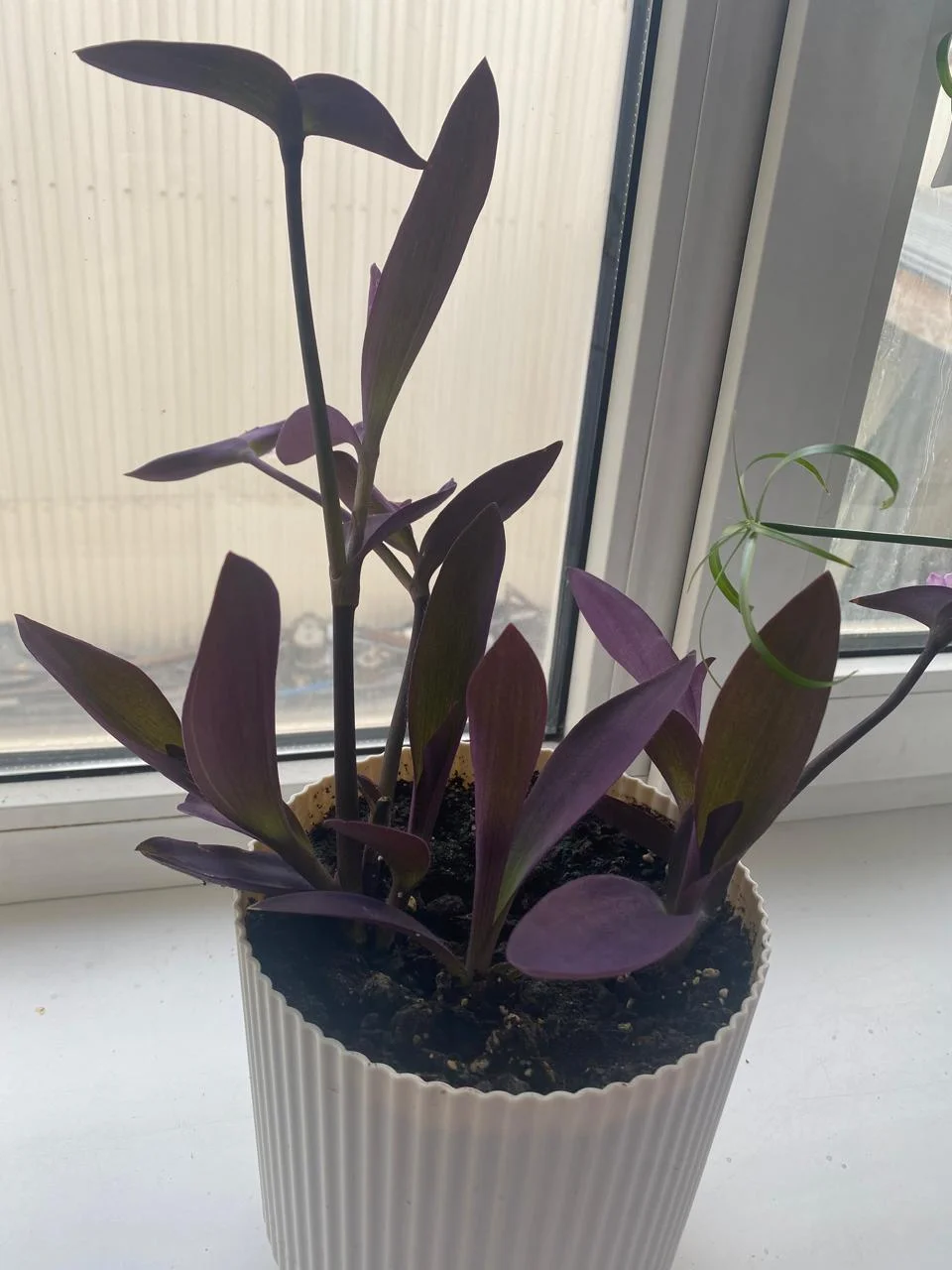 WhatsApp Image 2024-09-26 at 16.52.30 (1).webp