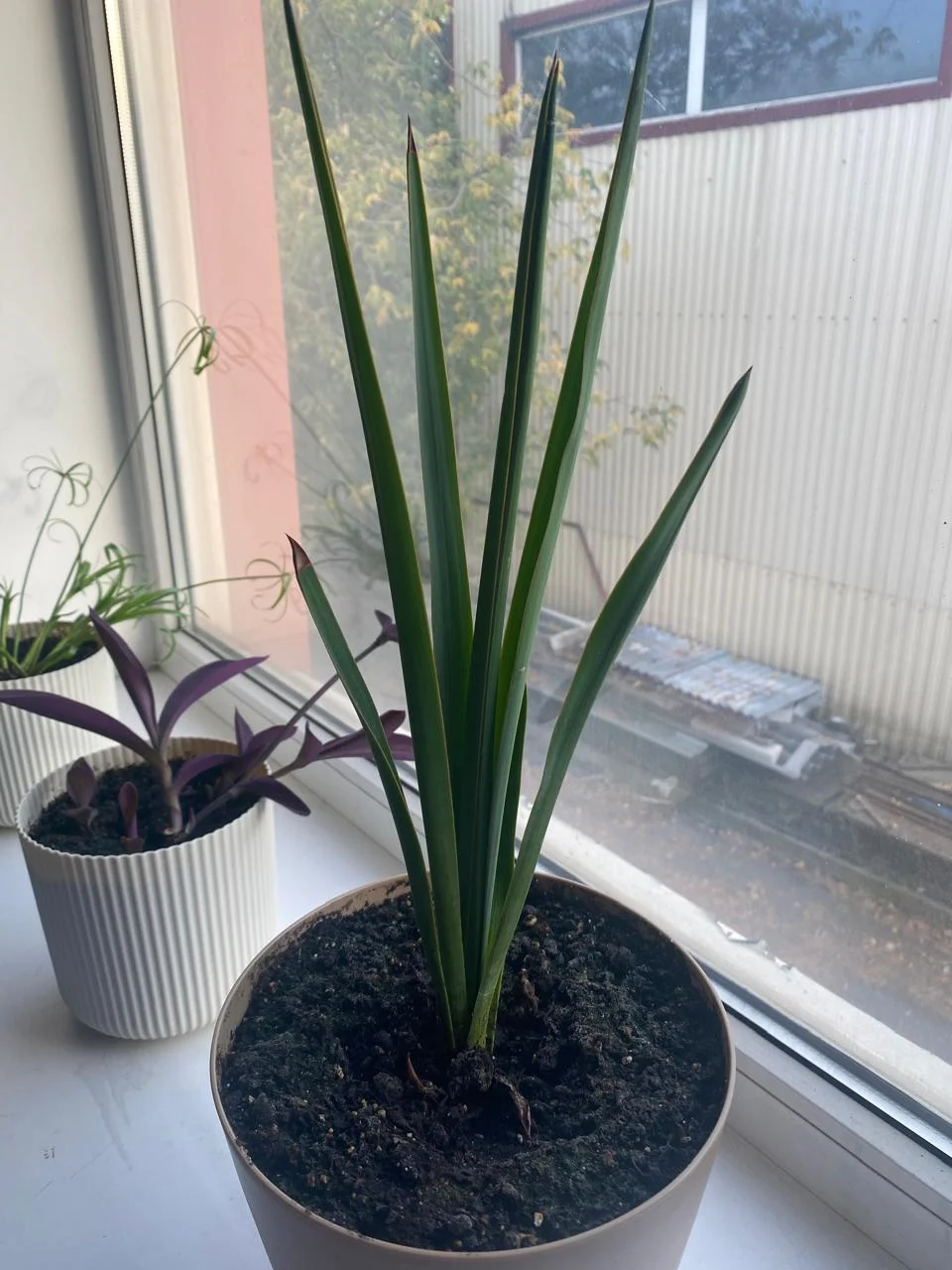 WhatsApp Image 2024-09-26 at 16.52.30 (2).webp