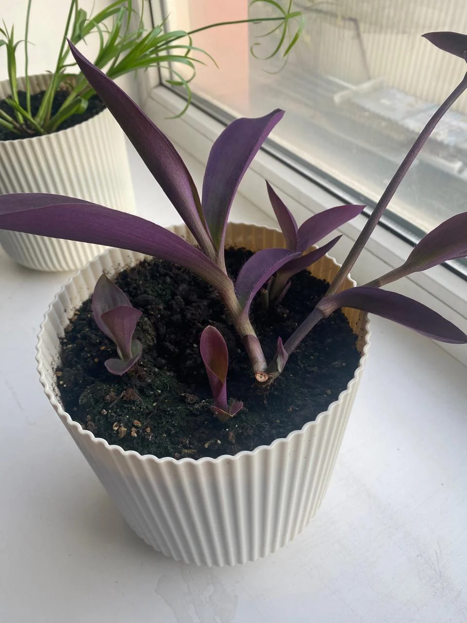 WhatsApp Image 2024-09-26 at 16.52.30 (3).webp