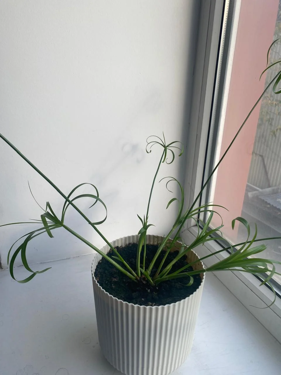 WhatsApp Image 2024-09-26 at 16.52.30 (4).webp