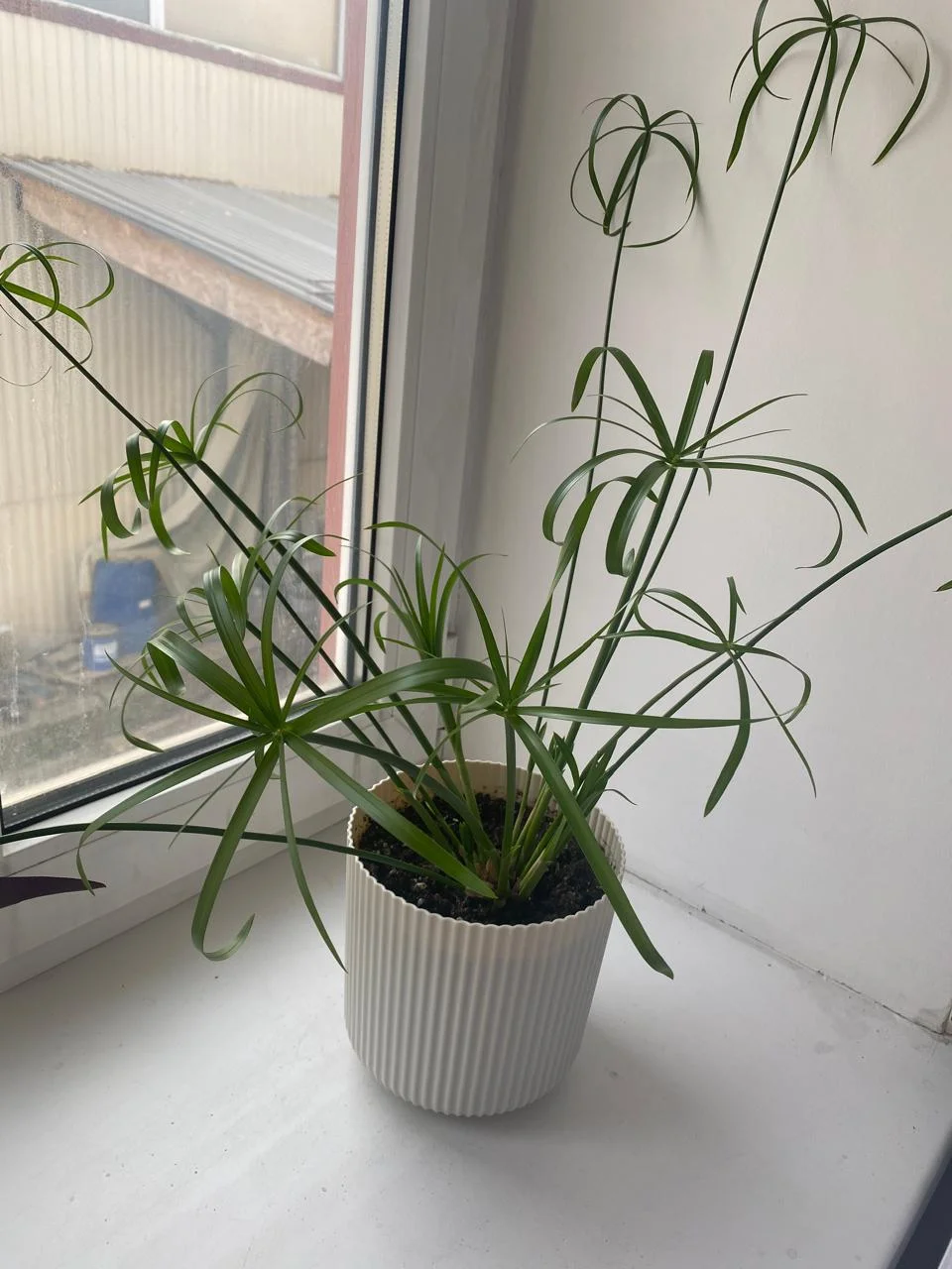 WhatsApp Image 2024-09-26 at 16.52.30.webp