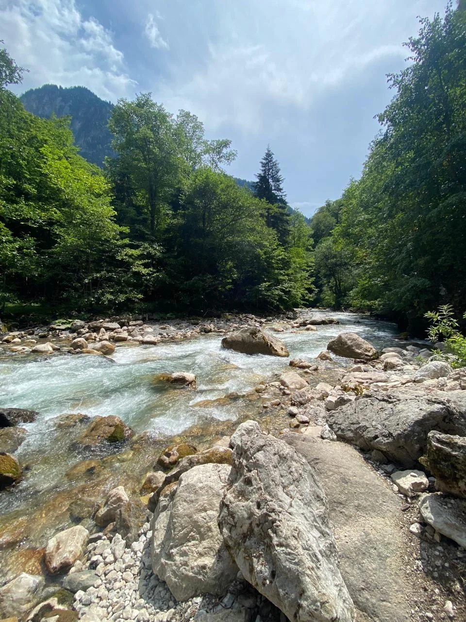 WhatsApp Image 2024-10-01 at 17.04.30 (4).jpeg