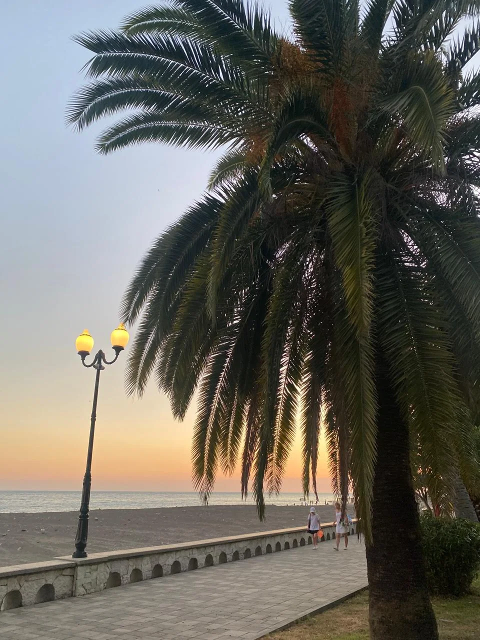 WhatsApp Image 2024-10-01 at 17.04.30 (8).jpeg