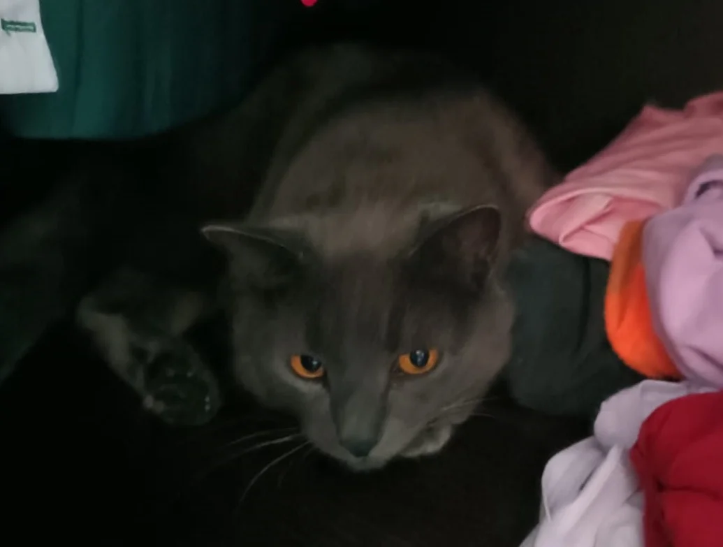 WhatsApp Image 2025-09-23 at 14.08.10.webp