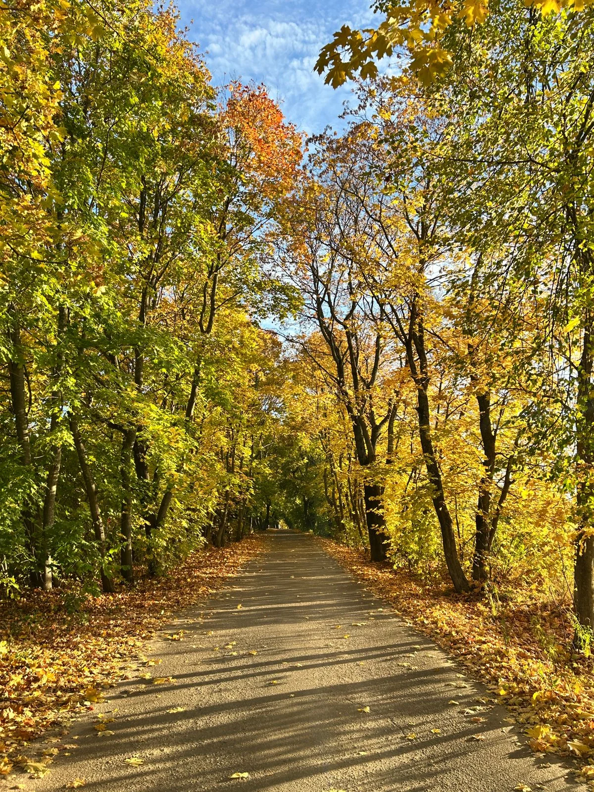 WhatsApp Image 2025-10-27 at 17.18.14.webp