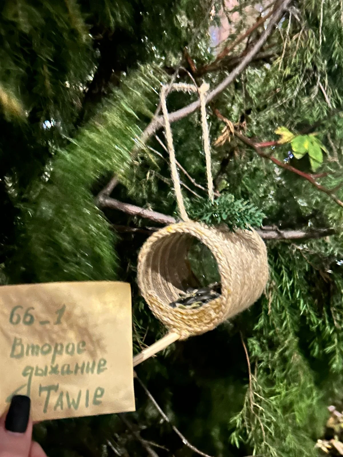 WhatsApp Image 2025-11-05 at 18.24.47.webp