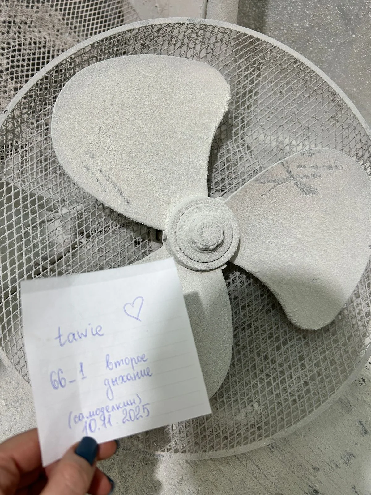 WhatsApp Image 2025-11-10 at 16.28.06.webp