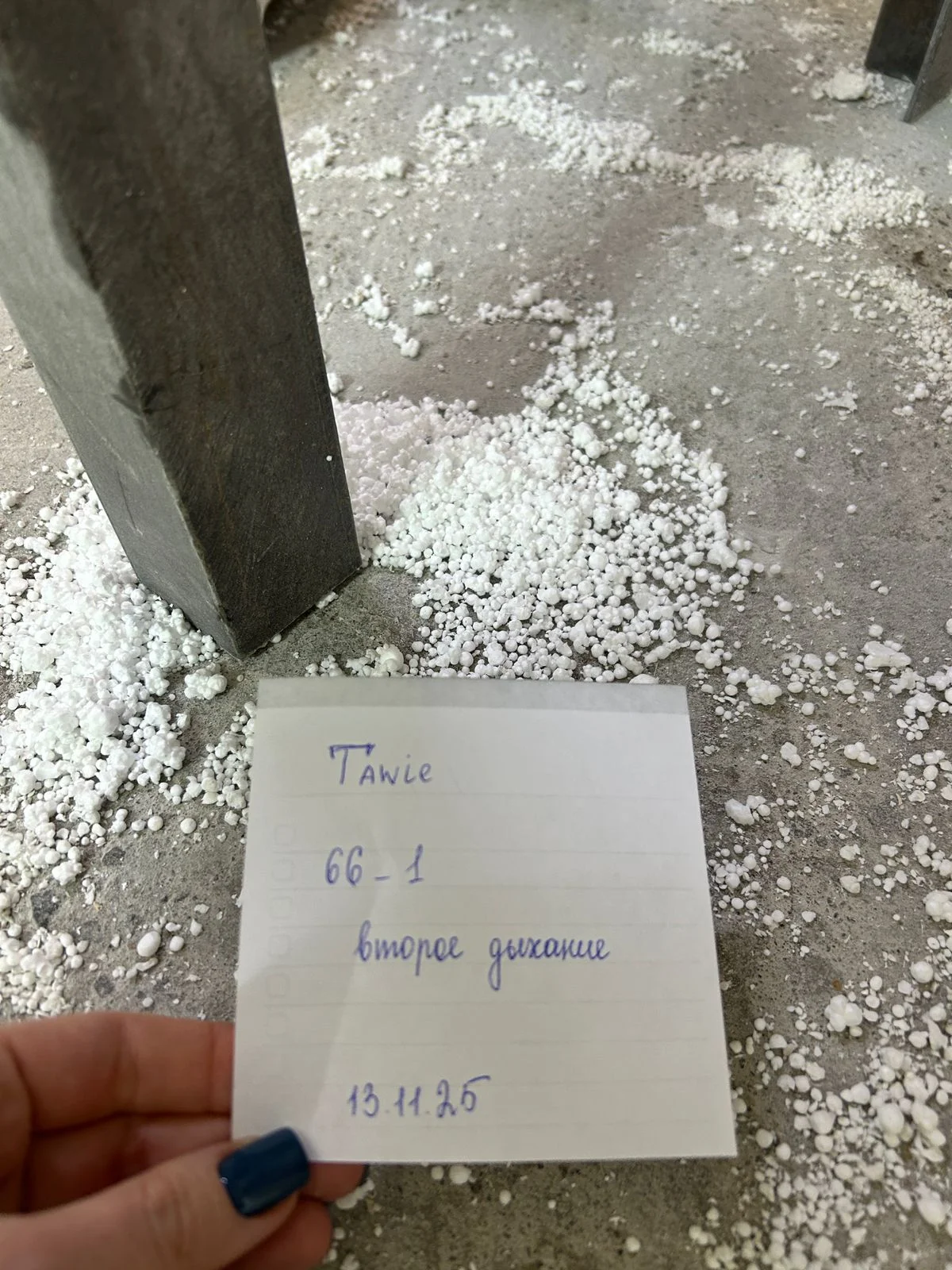 WhatsApp Image 2025-11-13 at 16.11.12 (1).webp