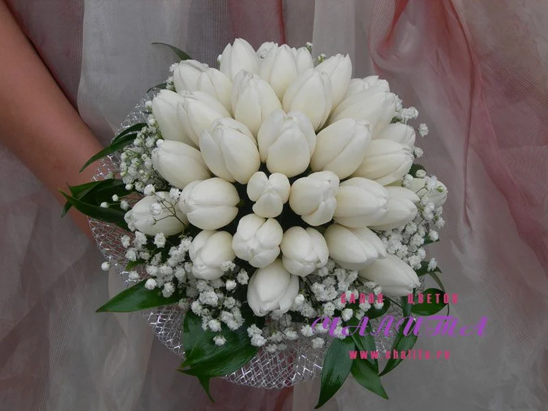 white-tulips.webp