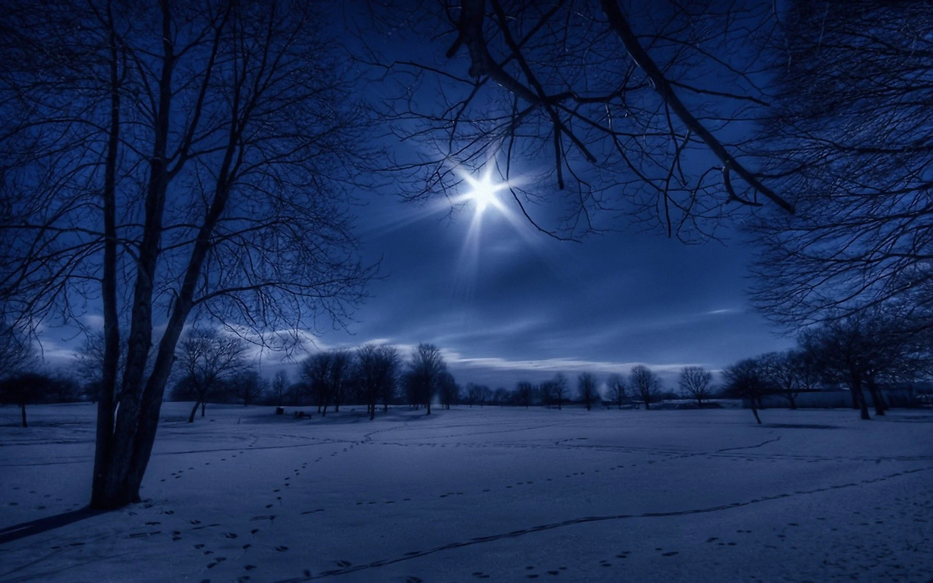 Winter-Night-Snowy-Wallpaper-Picture.webp