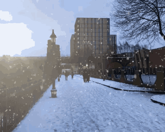 winter-snow.gif