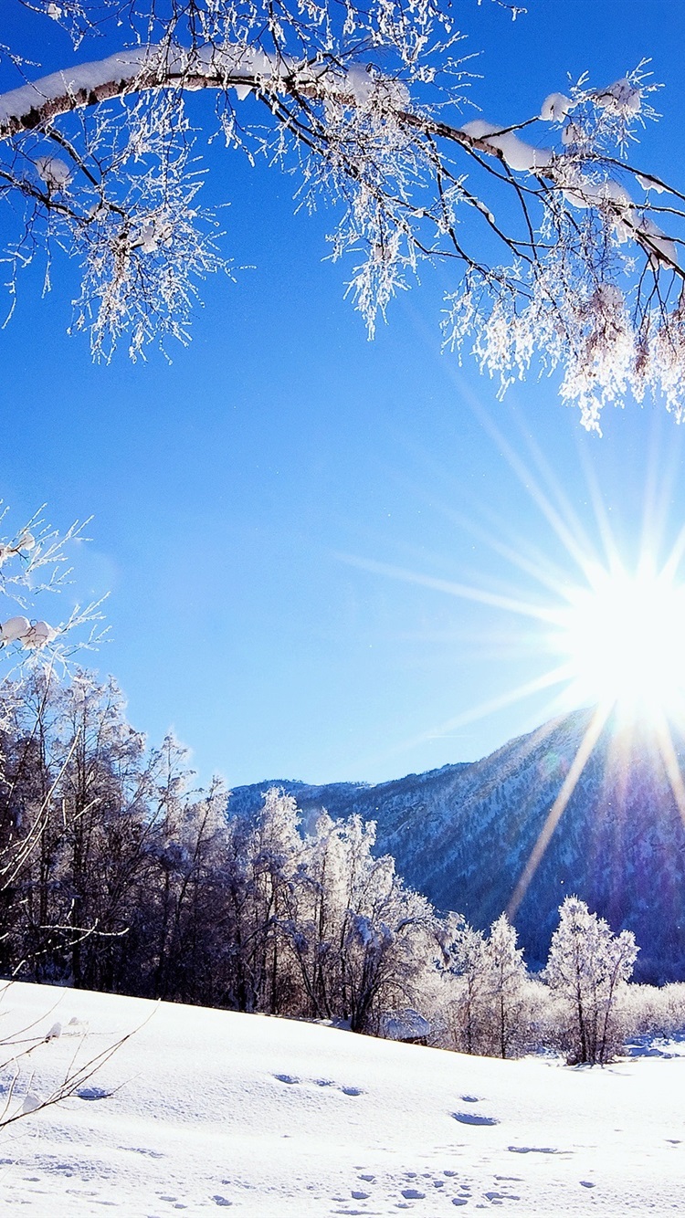 Winter-snow-mountains-and-trees-white-scenery-dazzling-sunshine_iphone_750x1334.jpg