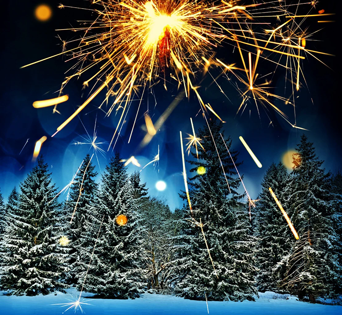 Winter_Forests_Fireworks_464494.webp