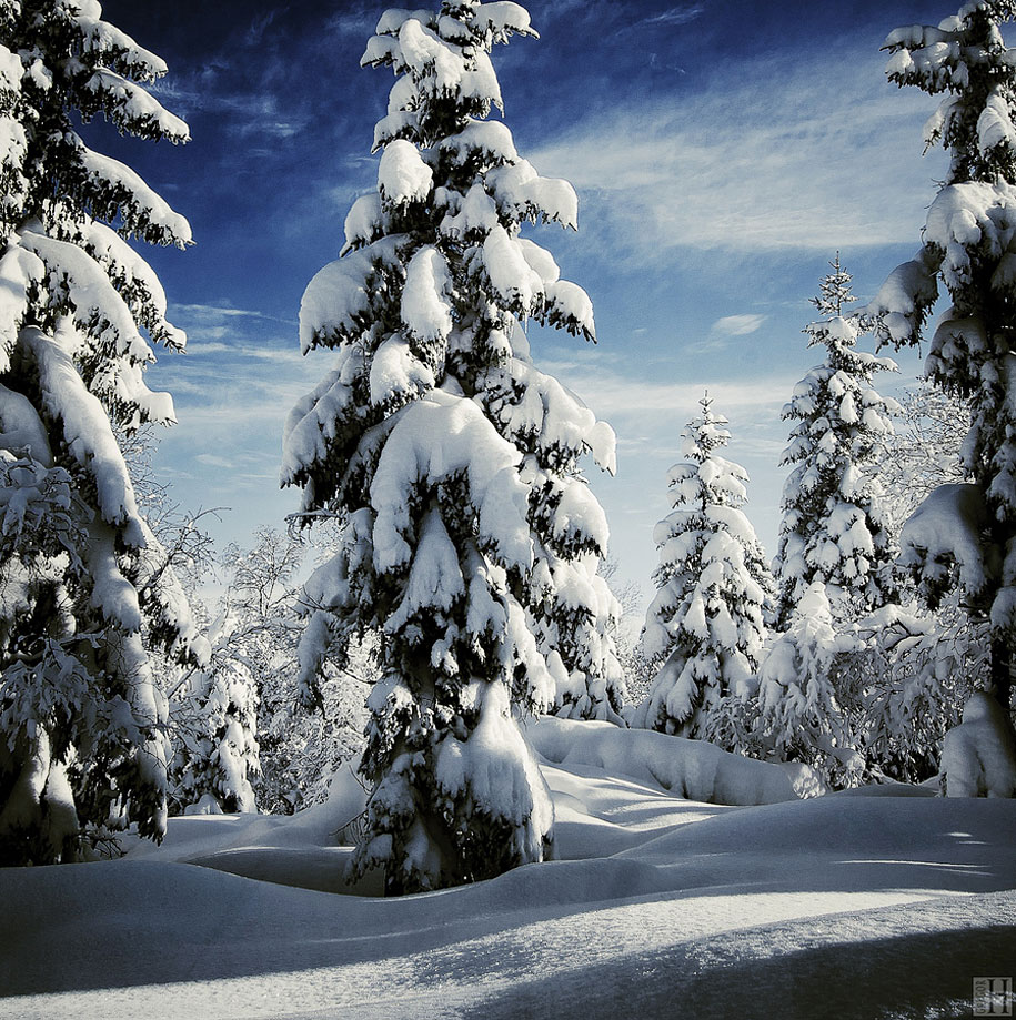 Winter_Wonderlands_19.jpg