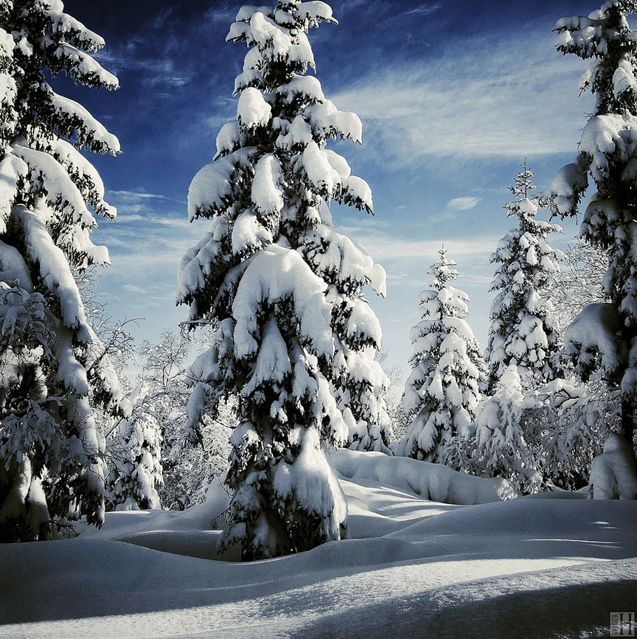 Winter_Wonderlands_19.webp