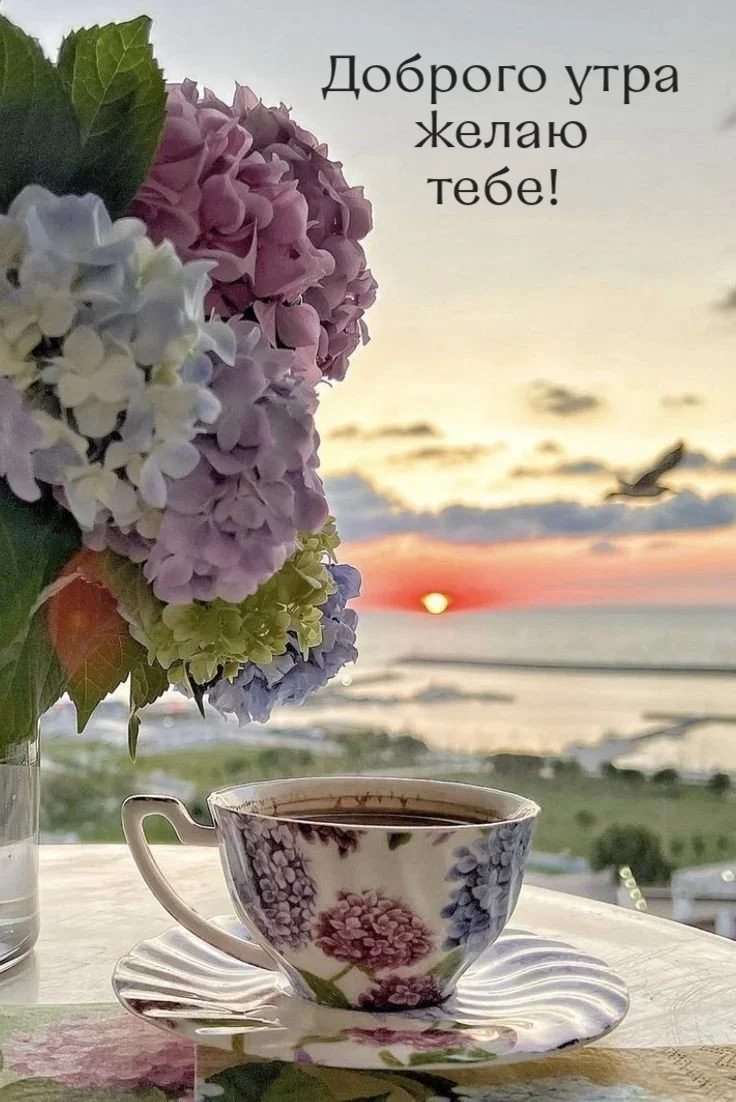 wishpics_ru_4583 (2).webp