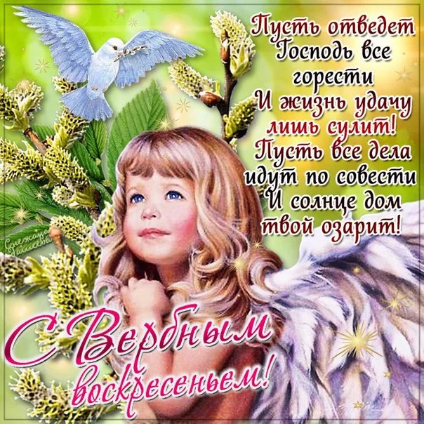 WjAFxcBmqto.webp