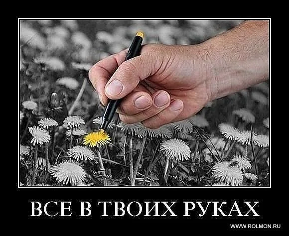 WMWQW1rmfzA.webp