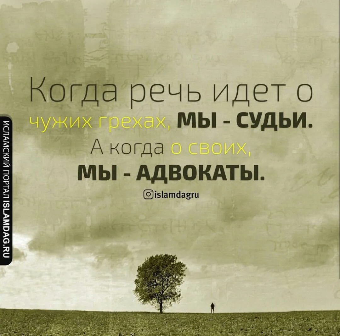 wN49kp5u5D0.webp wN49kp5u5D0.webp