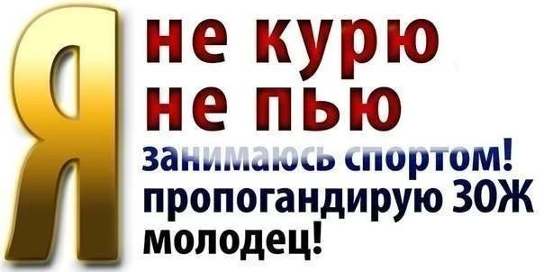 WORKOUwT-spawces.ru.webp