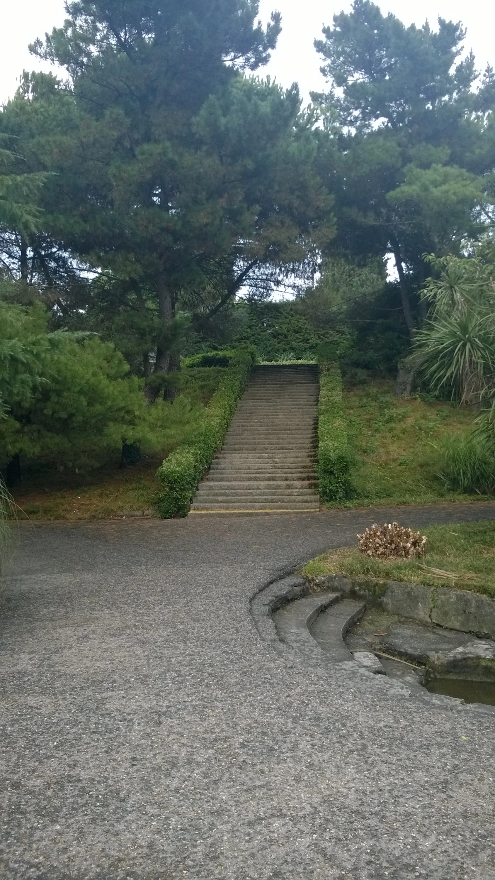 WP_20140819_035.webp