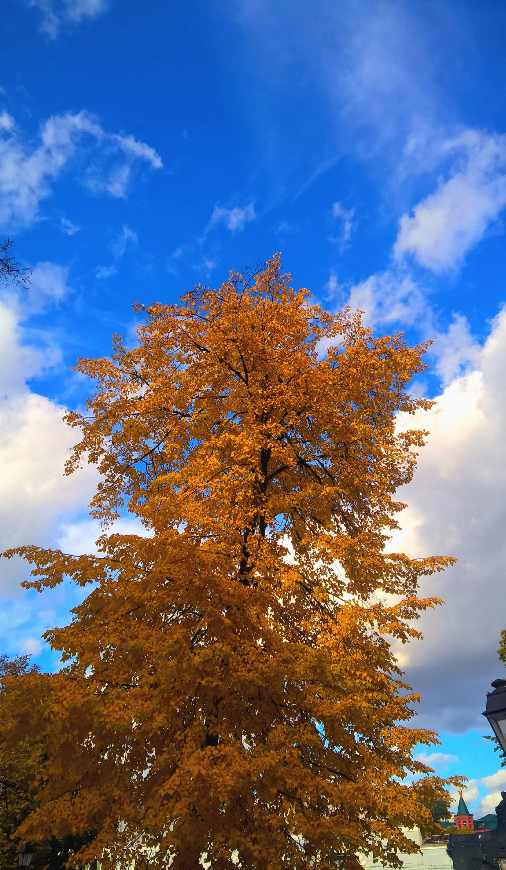 WP_20161001_2245.webp