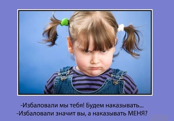 wpid-7_qOgVSCgKY.webp