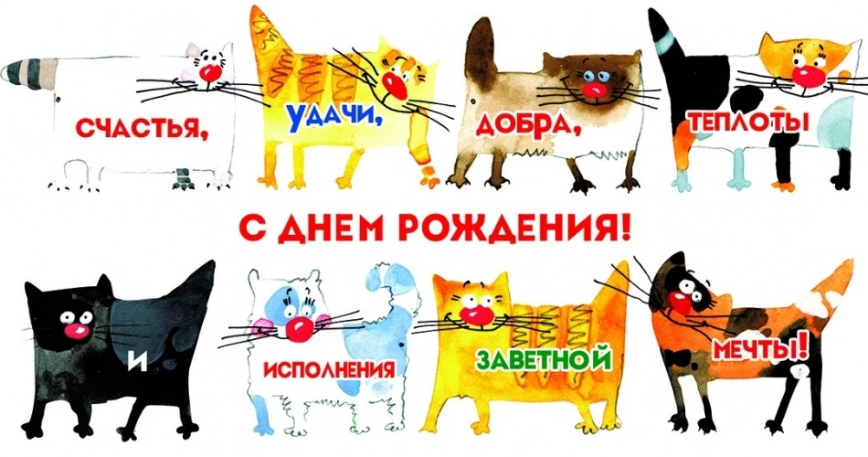 WQH9il0NSis.webp