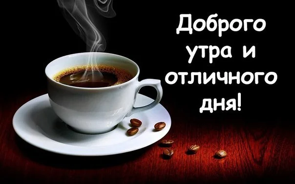 WrMhkVSy7LI.webp