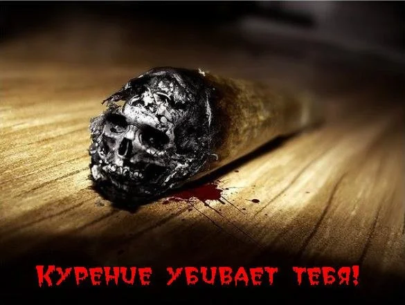 x_040f8da9.webp
