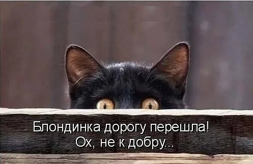 x_0c7d2134.webp