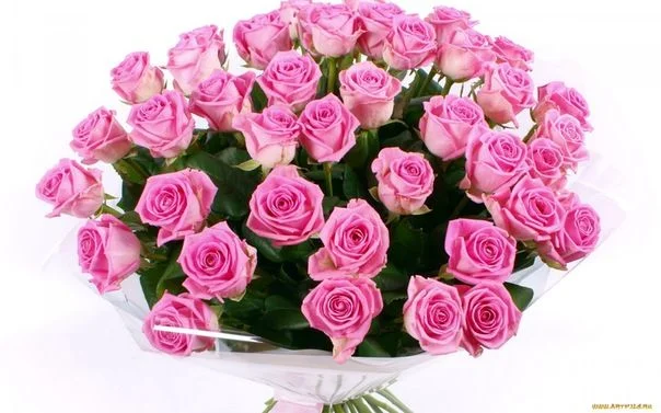 x_0d535a65.webp
