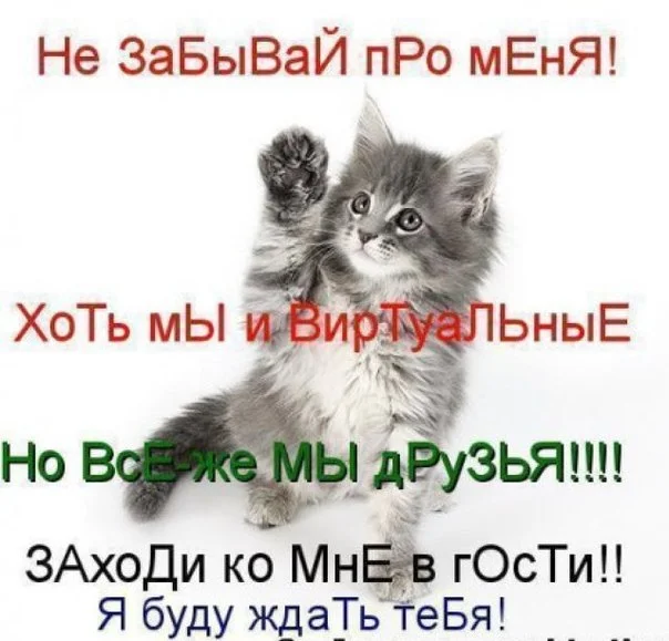 x_2575b078.webp