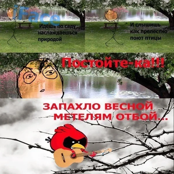 x_4c9e3034.webp