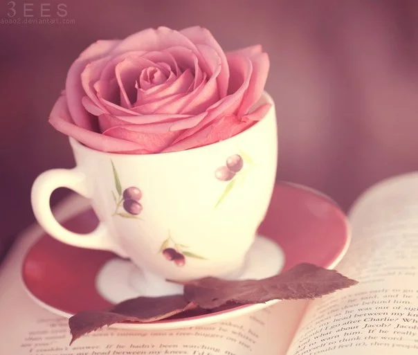 x_513b6a07.webp x_513b6a07.webp