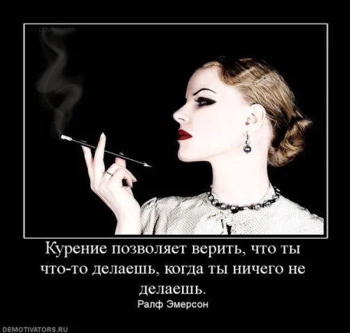 x_63cba7af.webp
