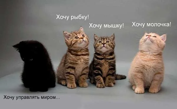 x_8054d96f.webp