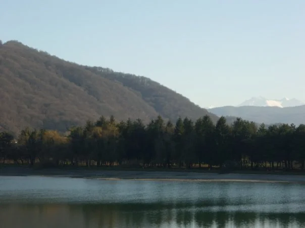 x_944243d7.webp