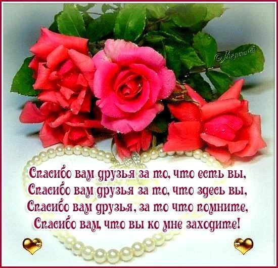 x_9c8a3557.webp