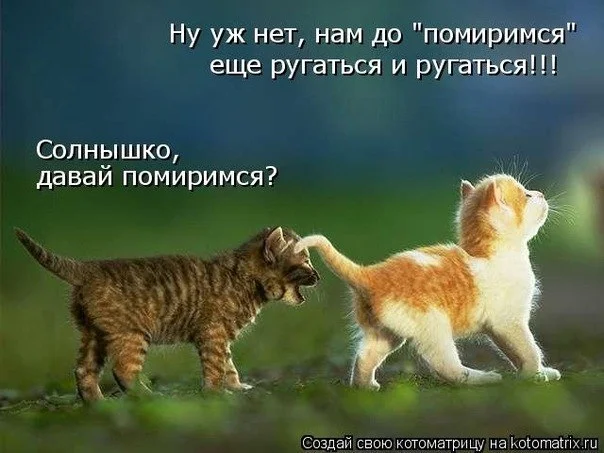 x_a95fee97.webp