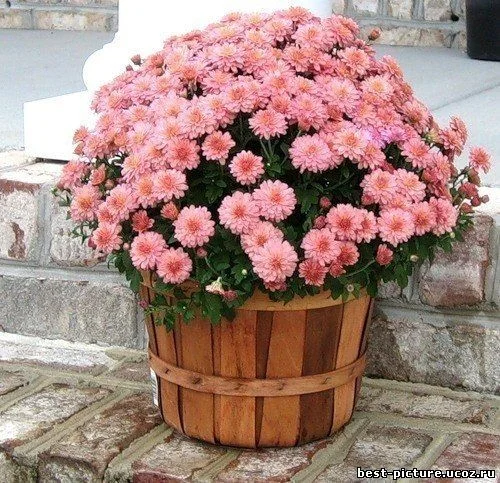 x_b893b3fa.webp
