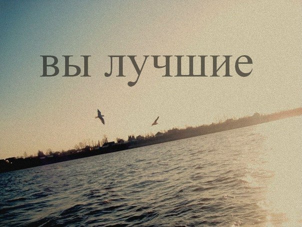 x_bff536cd.jpg